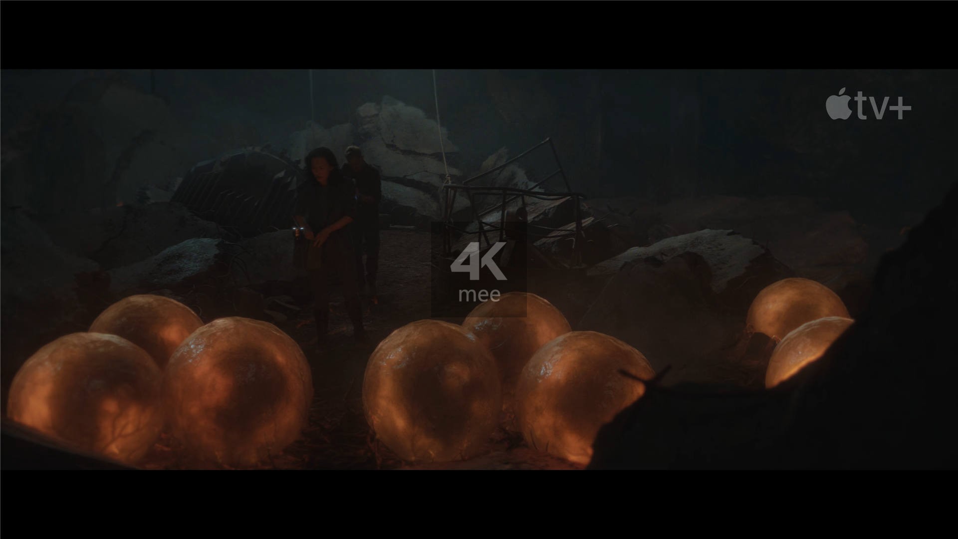 4K 帝王计划：神秘组织与怪兽之谜Monarch Legacy of Monsters TRAILER (4) | 4K资源下载基地